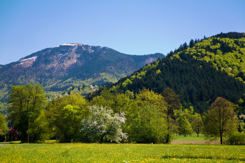 belchen im frühling1