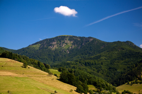 Belchen im Hochsommer2