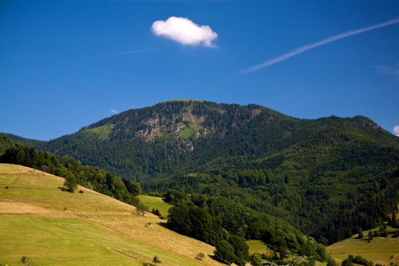 Blick auf den Berg Belchen im Hochsommer