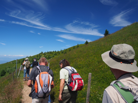Belchen Wandern1
