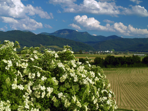 BelchenPanoramaBadKrozingen2