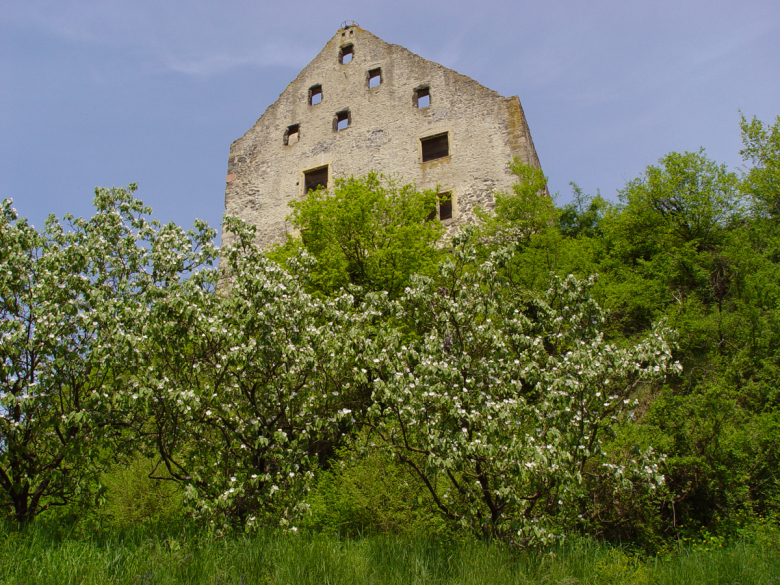 Teilgemeinde Burkheim der Stadt Vogtsburg im Kaiserstuhl