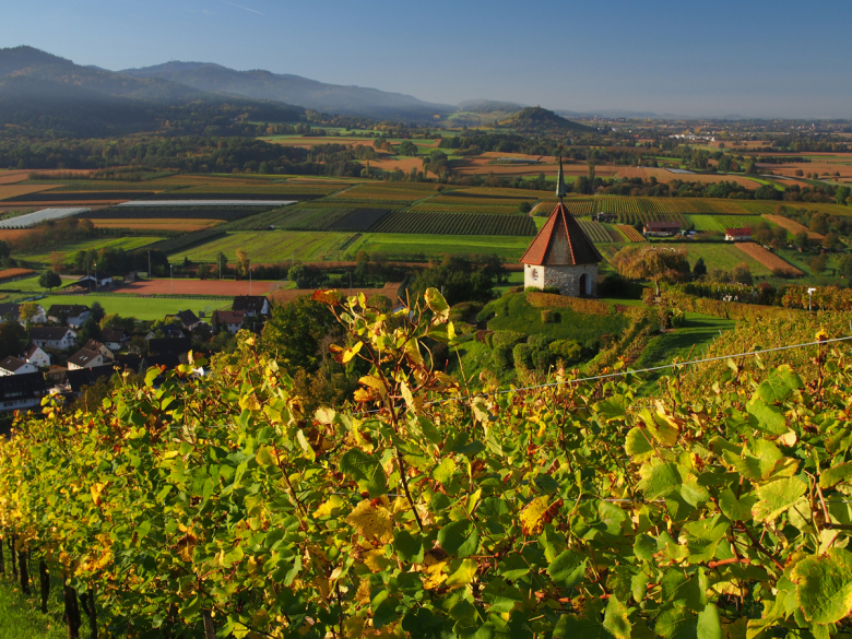 Ehrenkirchen Ölbergkapelle Herbst4
