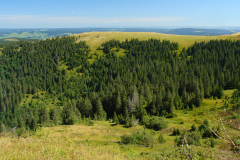 Feldberg2