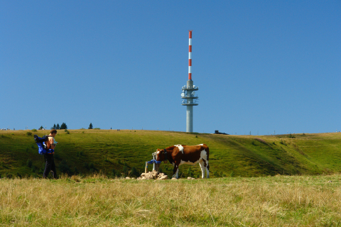 Feldberg3