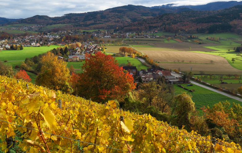 Hexental Herbst1