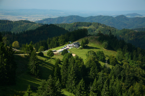 Kälbelescheuer