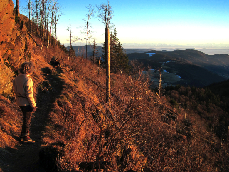 Auf der Etappe 11 des Westwegs am Belchen im Winter