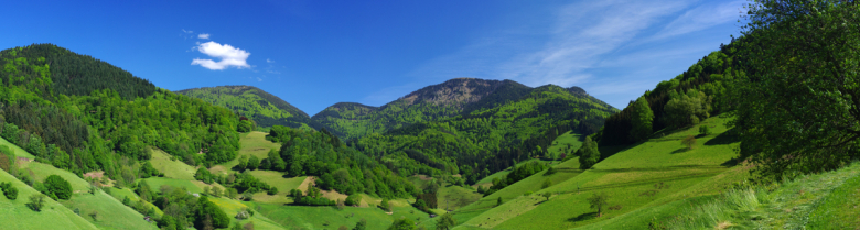 Münstertal Belchenpanorama1
