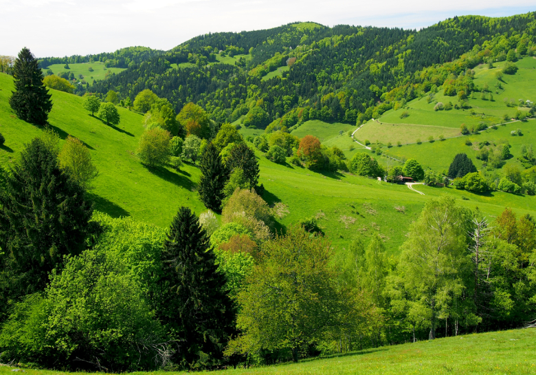 Münstertal Bühl Frühling1