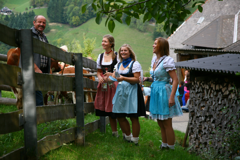 Münstertal Viehabtrieb5