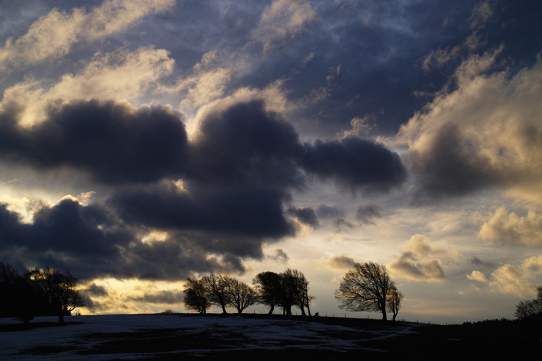 Münstertal Wetterbuchen5