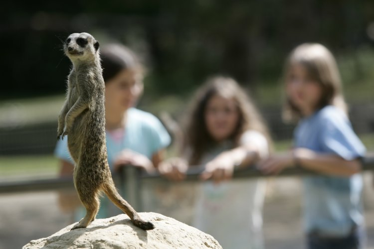 Der Mundenhof ist für Tierliebhaber ein besonders schönes Ausflugsziel