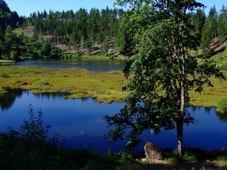 nonnenmattweiher1