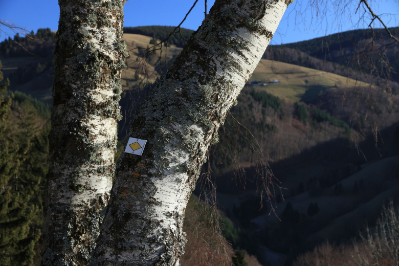 sonnhaldeberg1klein