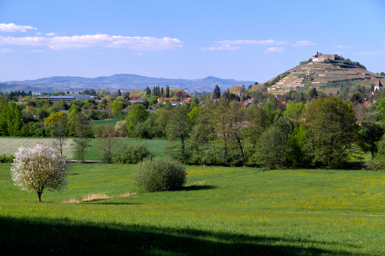 Staufen Sahlenbach1