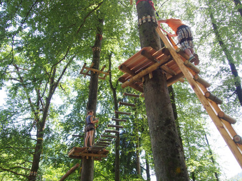 Staufen Waldklettergarten Schwindelfrei1