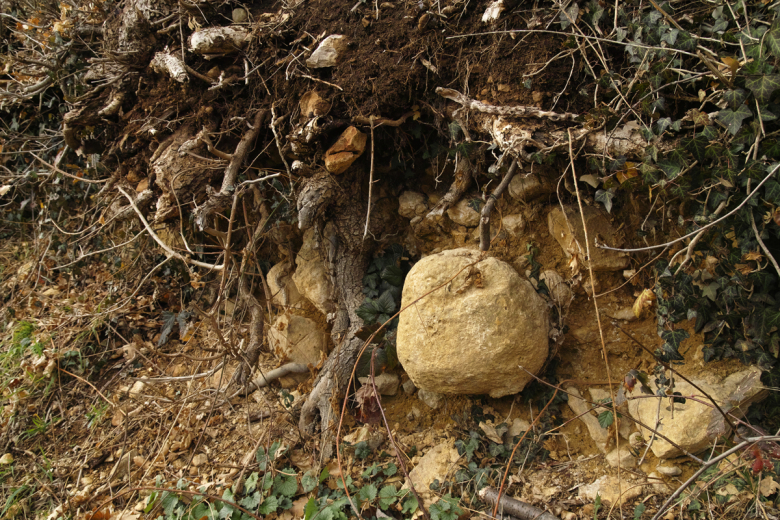 Steiniges9